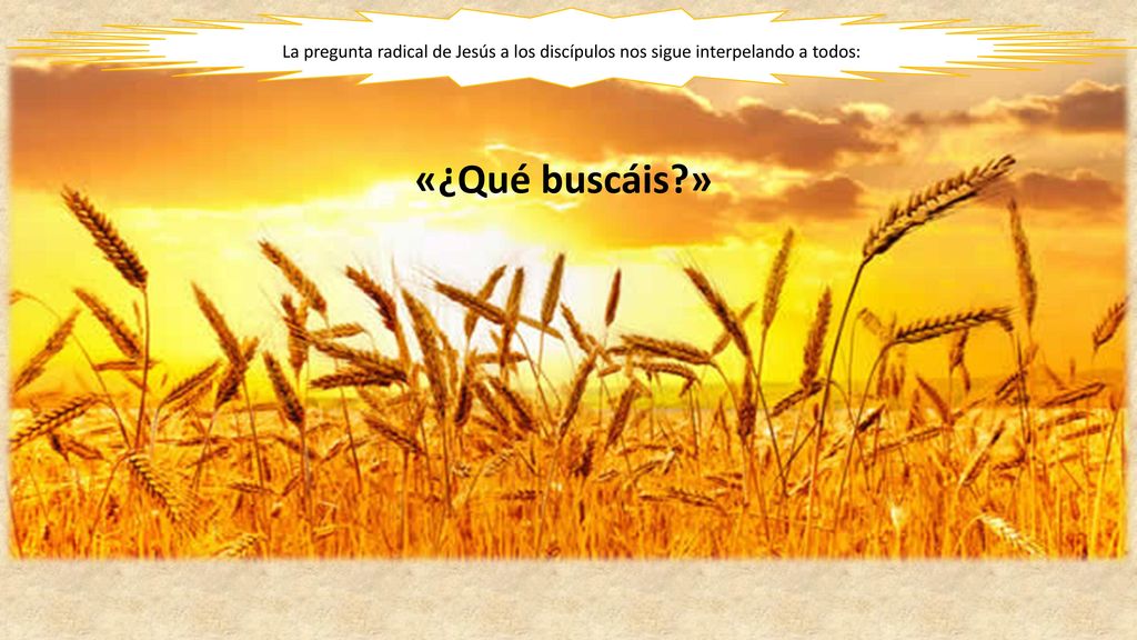 La pregunta radical de Jesús a los discípulos nos sigue interpelando a todos: