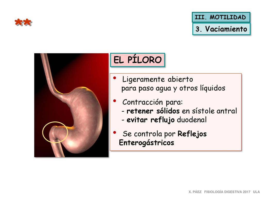 ** EL PÍLORO Ligeramente abierto para paso agua y otros líquidos
