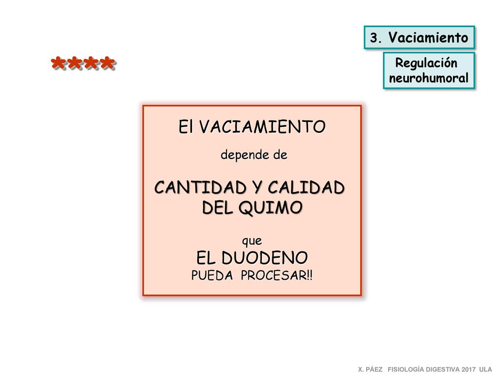 **** El VACIAMIENTO CANTIDAD Y CALIDAD DEL QUIMO 3. Vaciamiento