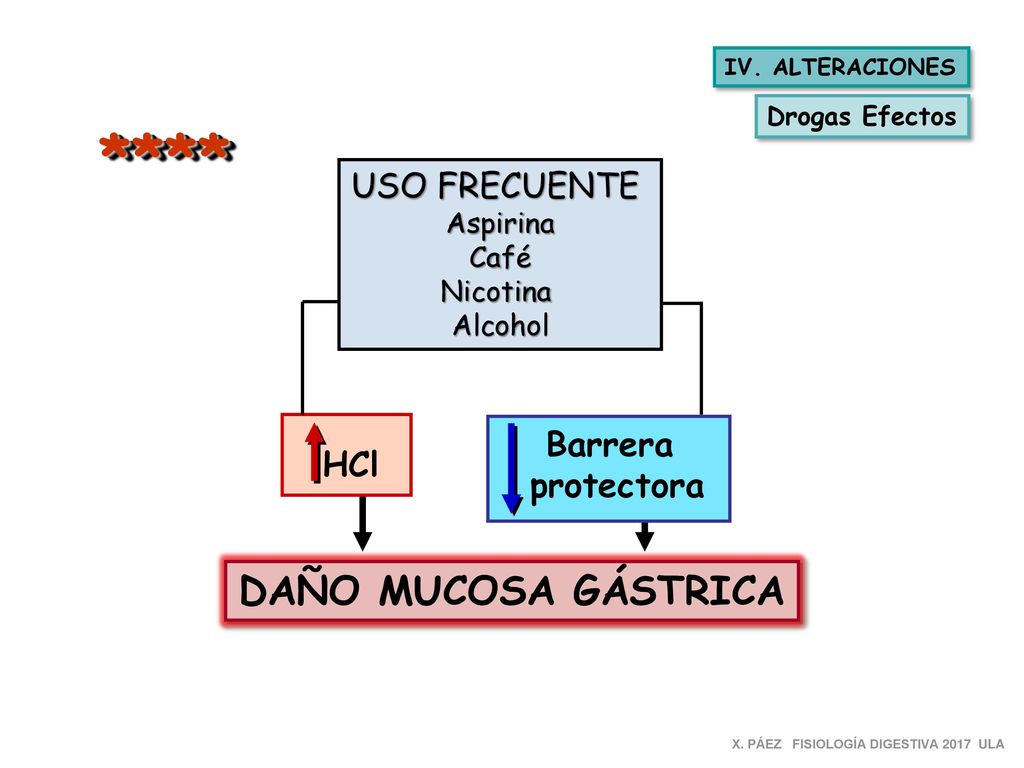 **** DAÑO MUCOSA GÁSTRICA USO FRECUENTE Barrera protectora HCl