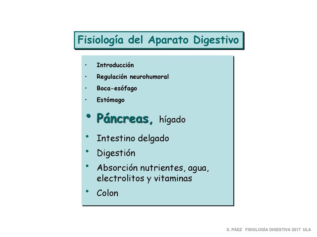 Páncreas, hígado Fisiología del Aparato Digestivo Intestino delgado