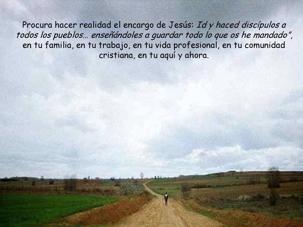 Procura hacer realidad el encargo de Jesús: Id y haced discípulos a todos los pueblos… enseñándoles a guardar todo lo que os he mandado , en tu familia, en tu trabajo, en tu vida profesional, en tu comunidad cristiana, en tu aquí y ahora.
