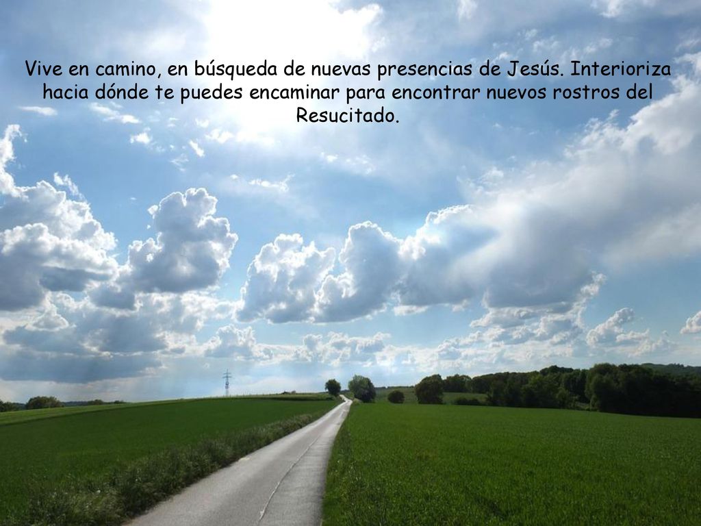 Vive en camino, en búsqueda de nuevas presencias de Jesús