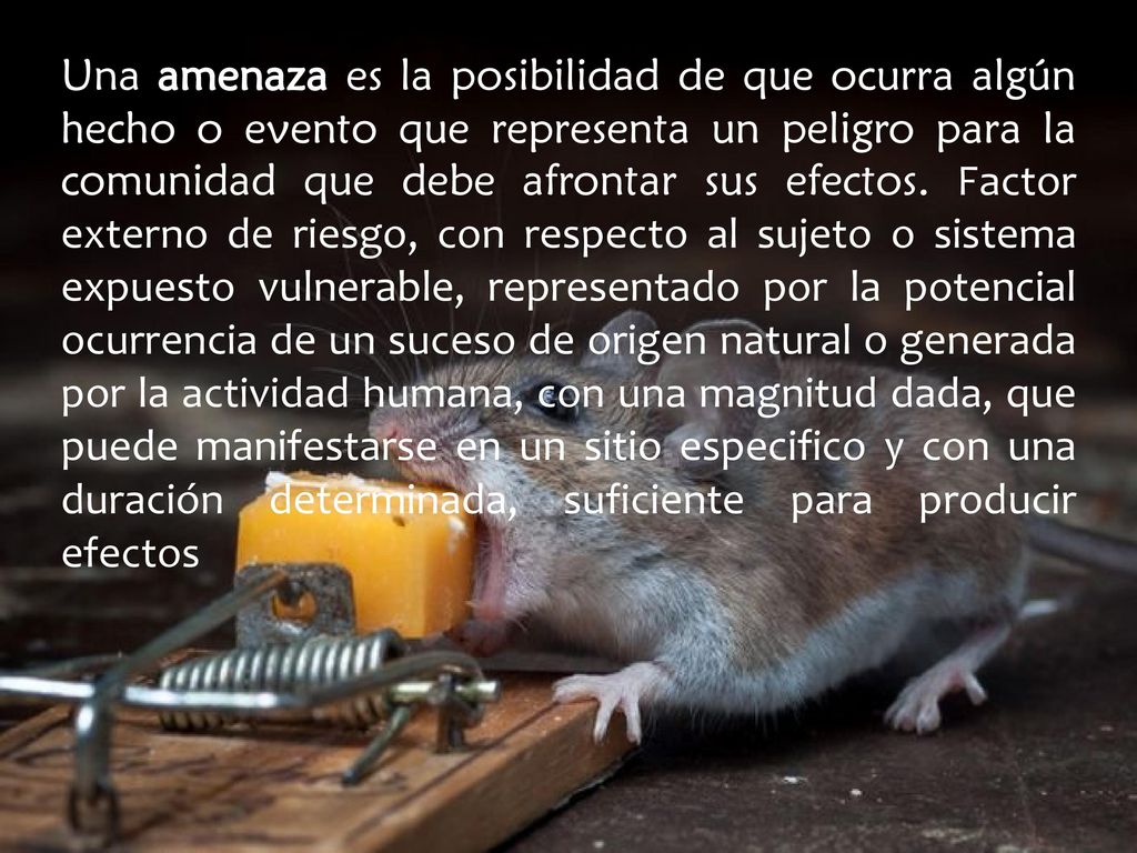 Una amenaza es la posibilidad de que ocurra algún hecho o evento que representa un peligro para la comunidad que debe afrontar sus efectos.