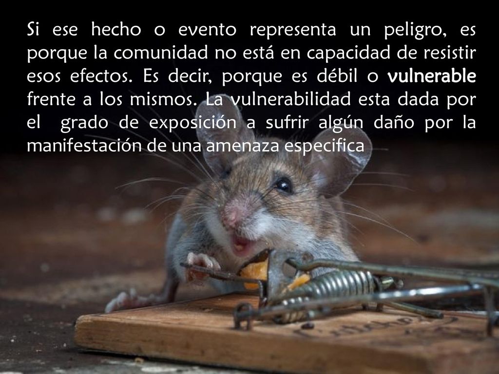 Si ese hecho o evento representa un peligro, es porque la comunidad no está en capacidad de resistir esos efectos.