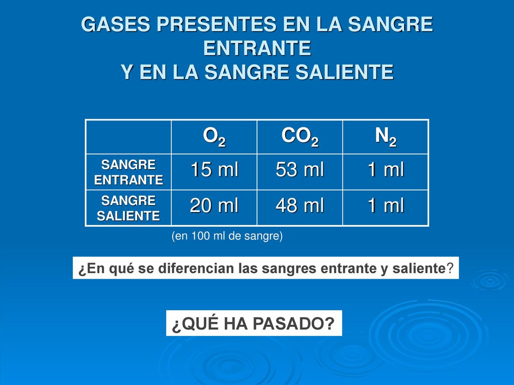 GASES PRESENTES EN LA SANGRE ENTRANTE Y EN LA SANGRE SALIENTE