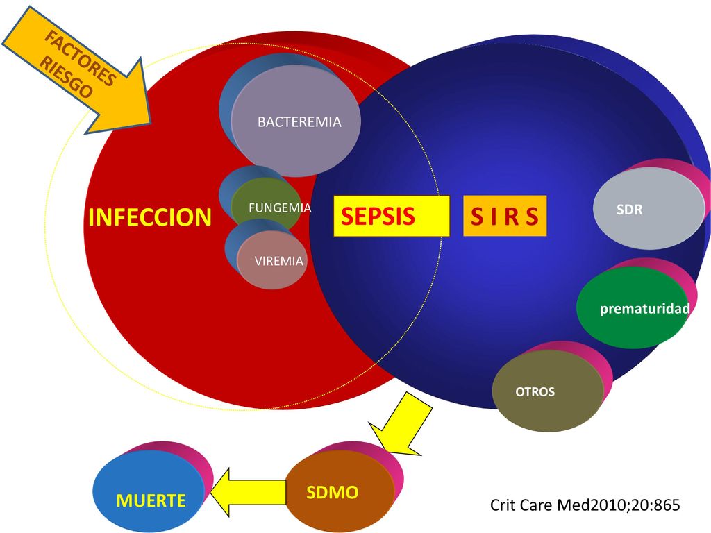 INFECCION SEPSIS S I R S FACTORES RIESGO SDMO MUERTE