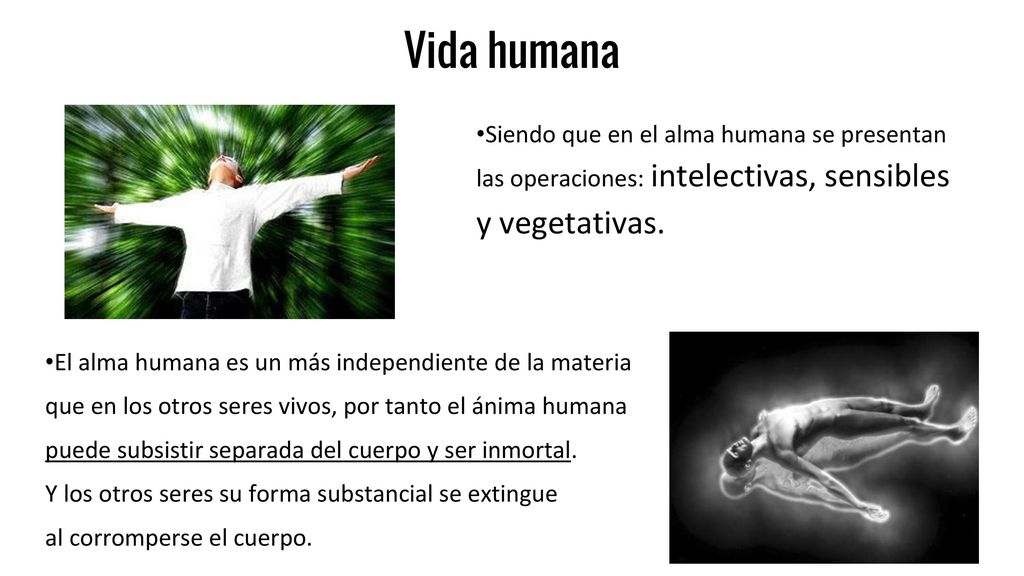 Vida humana •Siendo que en el alma humana se presentan las operaciones: intelectivas, sensibles y vegetativas.