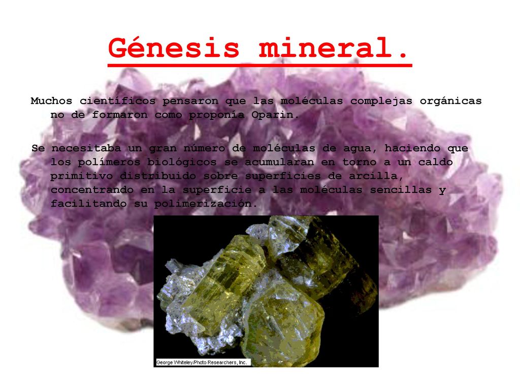 Génesis mineral. Muchos científicos pensaron que las moléculas complejas orgánicas no de formaron como proponía Oparin.