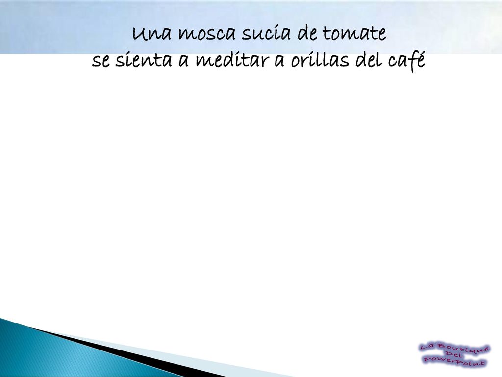 Una mosca sucia de tomate se sienta a meditar a orillas del café