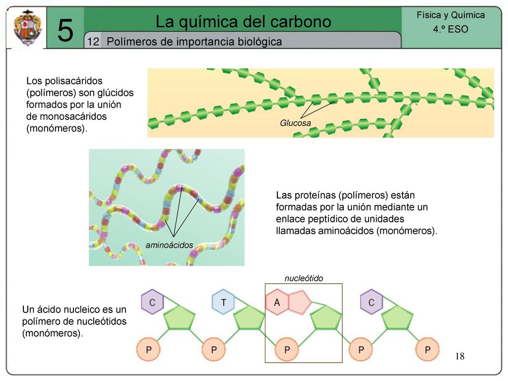 5 La química del carbono 12 Polímeros de importancia biológica 4.º ESO