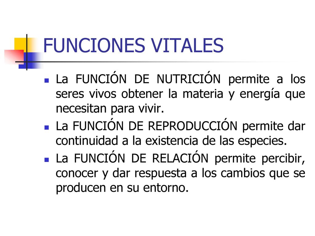 FUNCIONES VITALES La FUNCIÓN DE NUTRICIÓN permite a los seres vivos obtener la materia y energía que necesitan para vivir.
