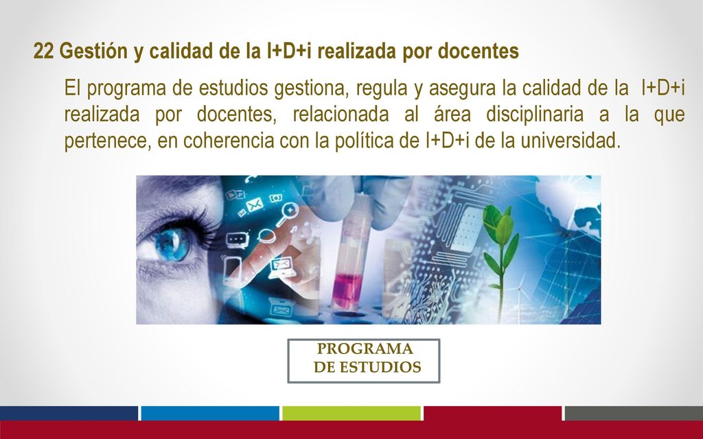 22 Gestión y calidad de la I+D+i realizada por docentes
