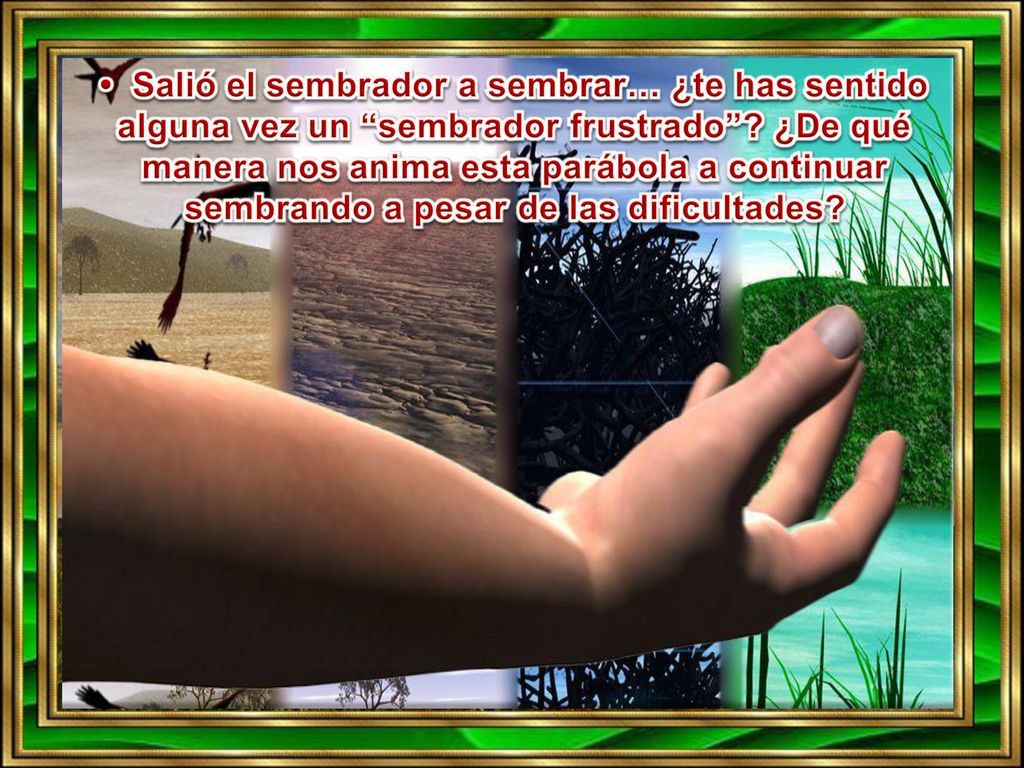 • Salió el sembrador a sembrar… ¿te has sentido alguna vez un sembrador frustrado .