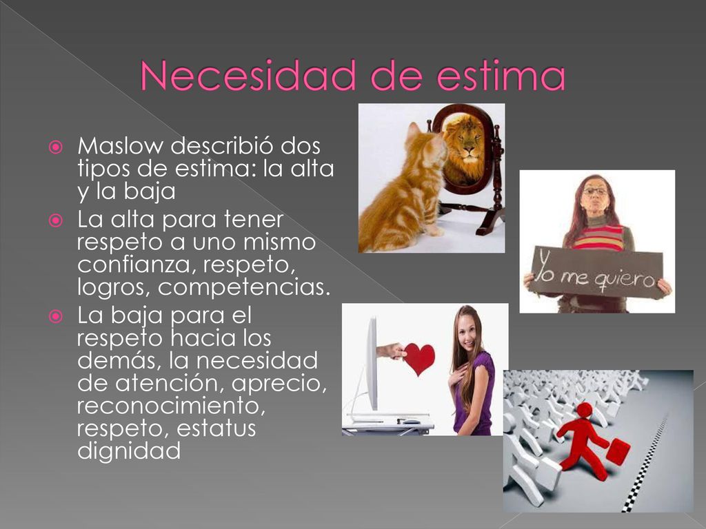 Necesidad de estima Maslow describió dos tipos de estima: la alta y la baja.
