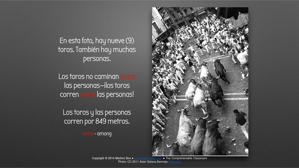 En esta foto, hay nueve (9) toros. También hay muchas personas.