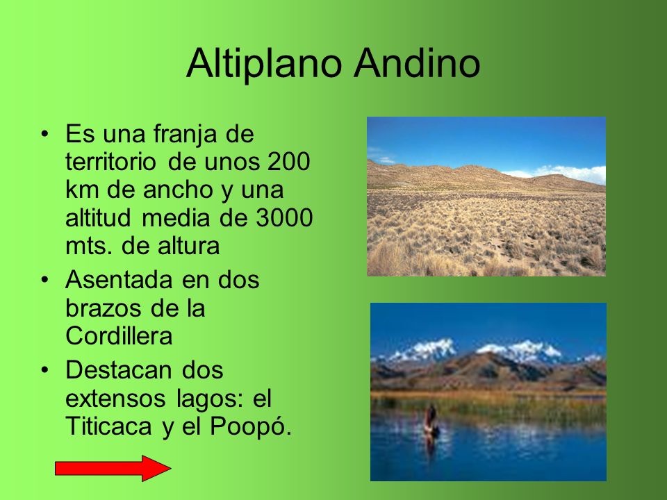 Altiplano Andino Es una franja de territorio de unos 200 km de ancho y una altitud media de 3000 mts. de altura.