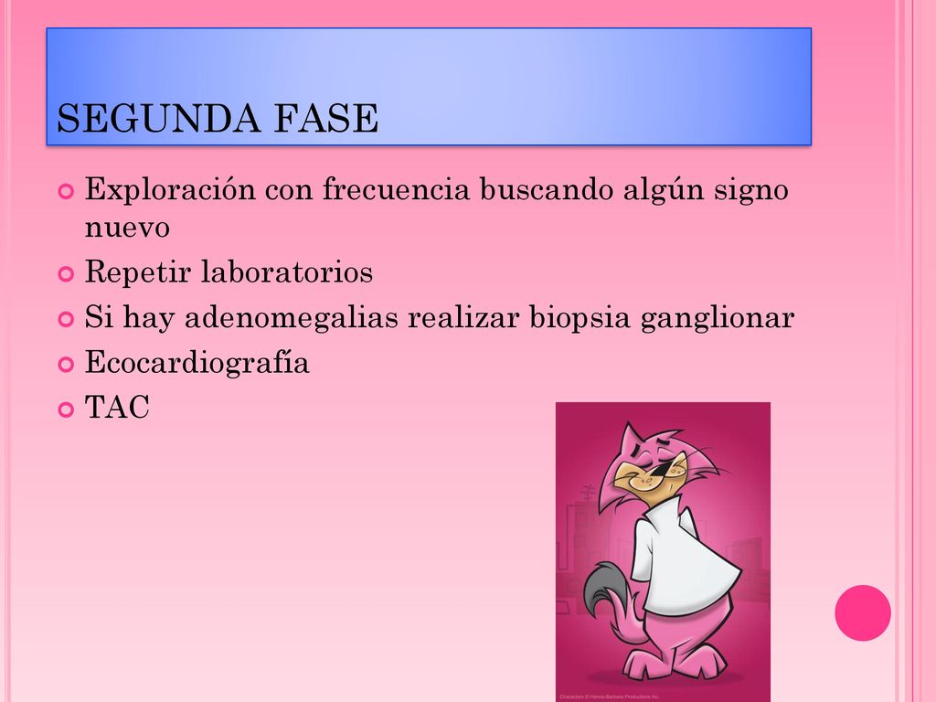 SEGUNDA FASE Exploración con frecuencia buscando algún signo nuevo