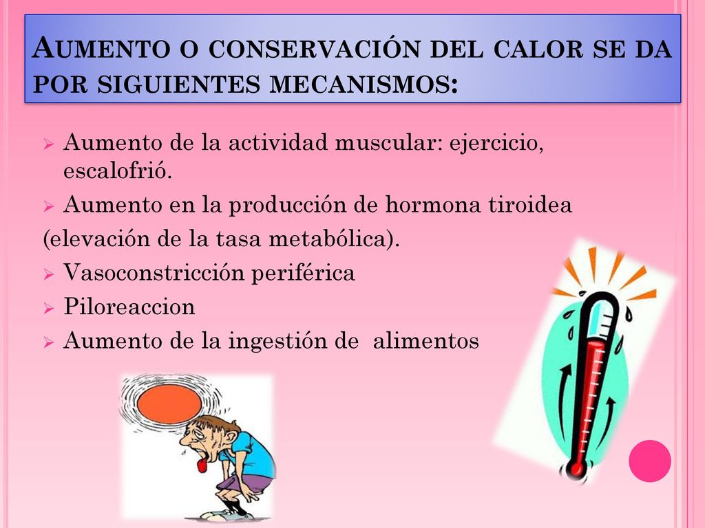 Aumento o conservación del calor se da por siguientes mecanismos: