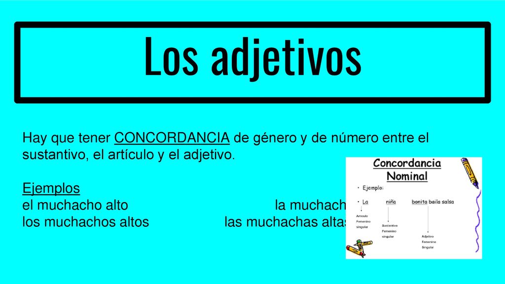 Los adjetivos Hay que tener CONCORDANCIA de género y de número entre el sustantivo, el artículo y el adjetivo.