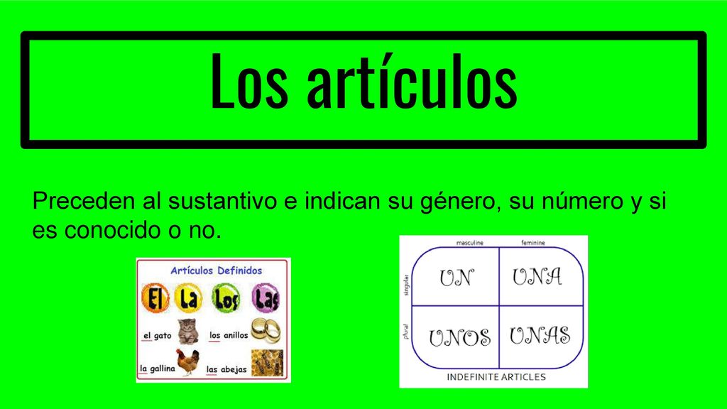 Los artículos Preceden al sustantivo e indican su género, su número y si es conocido o no.