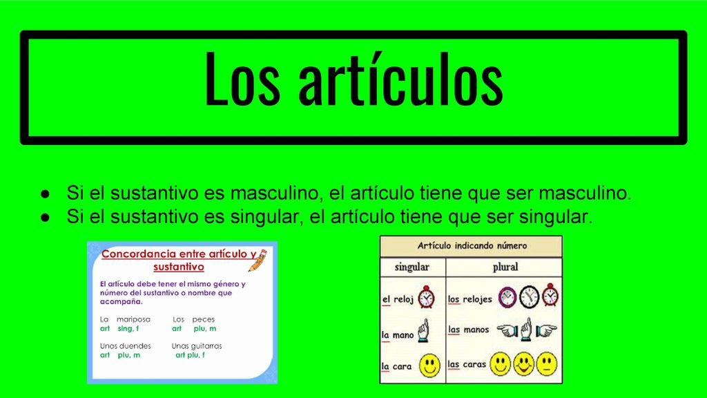 Los artículos Si el sustantivo es masculino, el artículo tiene que ser masculino.