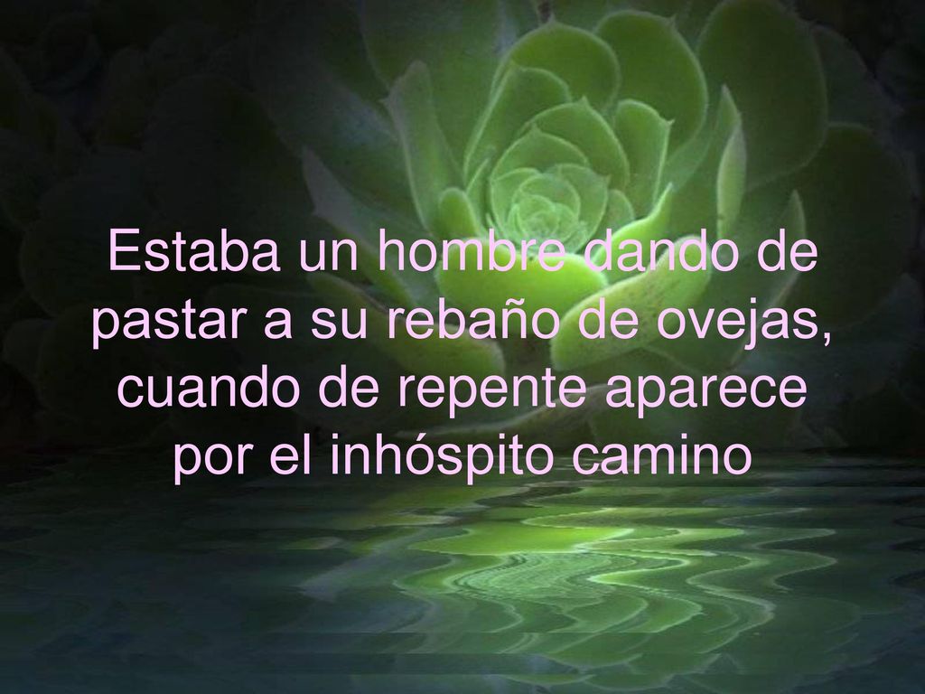 Estaba un hombre dando de pastar a su rebaño de ovejas, cuando de repente aparece por el inhóspito camino