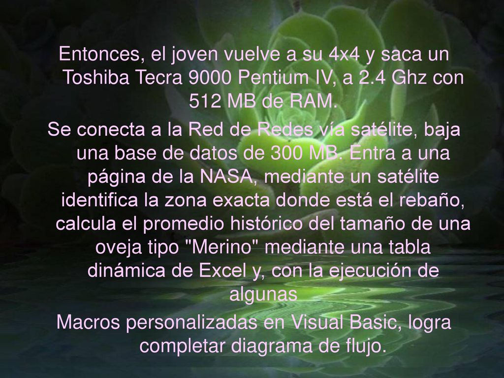 Entonces, el joven vuelve a su 4x4 y saca un Toshiba Tecra 9000 Pentium IV, a 2.4 Ghz con 512 MB de RAM.