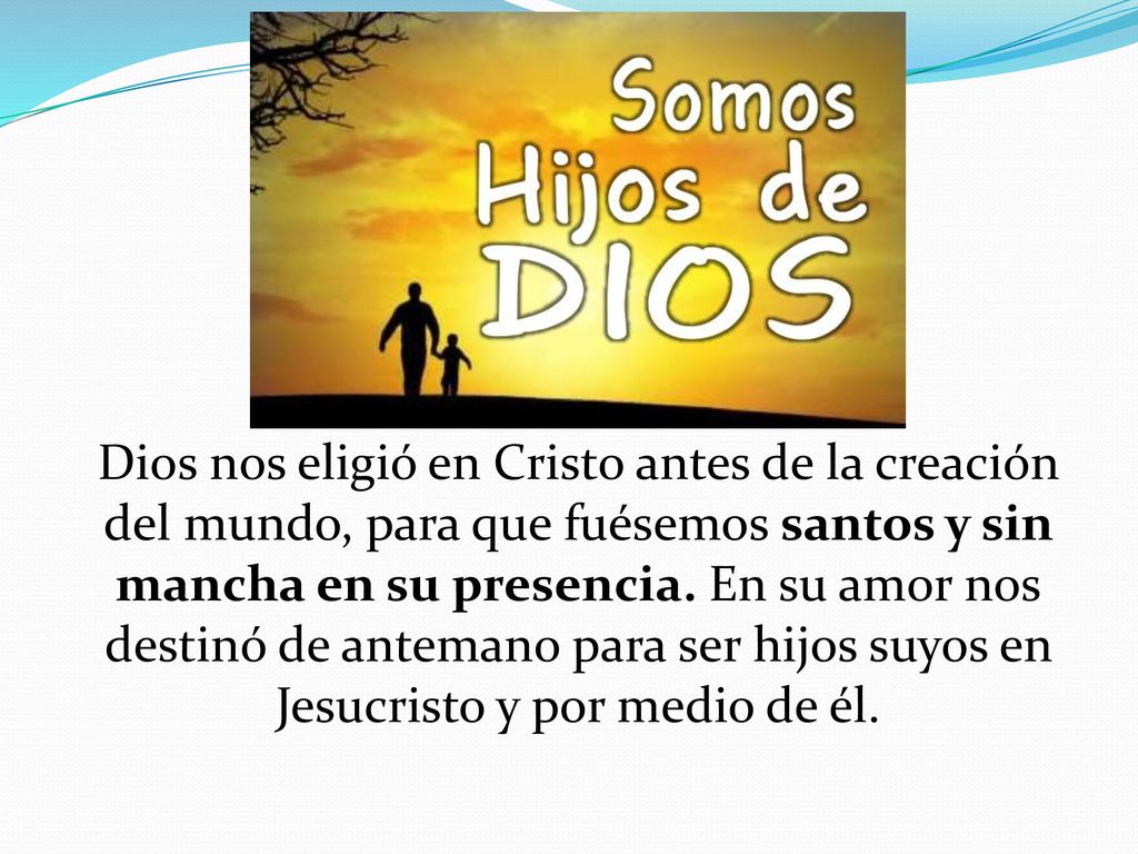 Dios nos eligió en Cristo antes de la creación del mundo, para que fuésemos santos y sin mancha en su presencia.