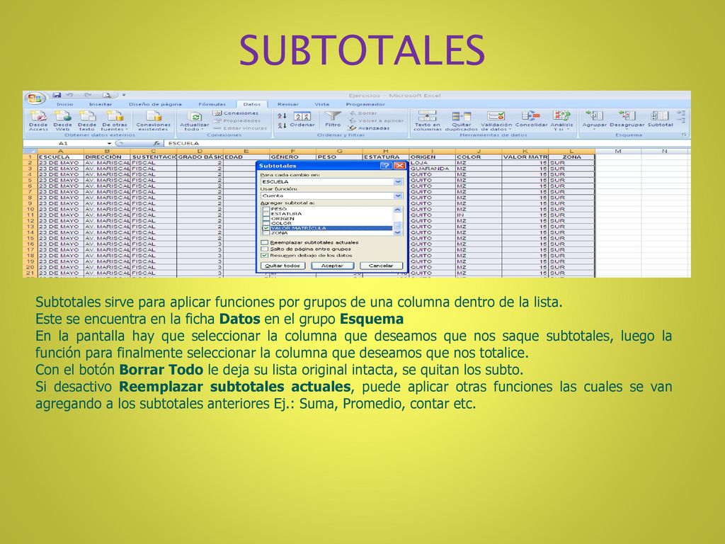 SUBTOTALES Subtotales sirve para aplicar funciones por grupos de una columna dentro de la lista.