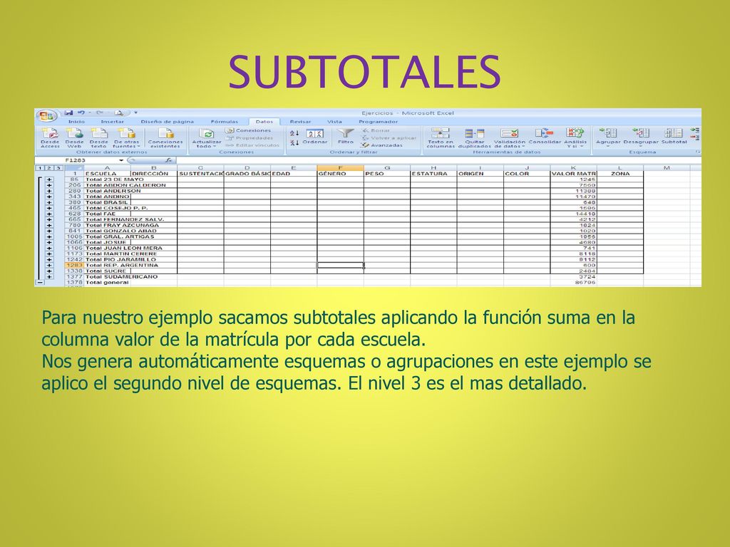 SUBTOTALES Para nuestro ejemplo sacamos subtotales aplicando la función suma en la columna valor de la matrícula por cada escuela.