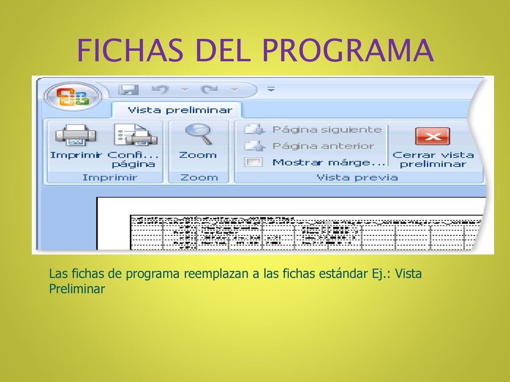 FICHAS DEL PROGRAMA Las fichas de programa reemplazan a las fichas estándar Ej.: Vista Preliminar