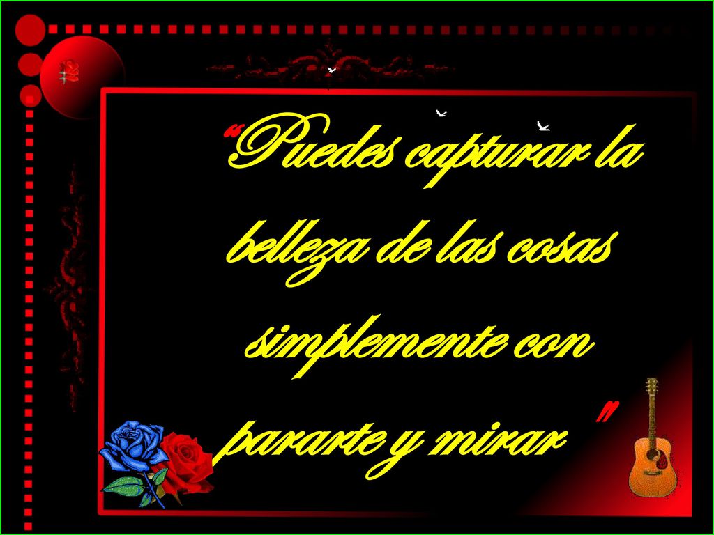 Puedes capturar la belleza de las cosas simplemente con pararte y mirar