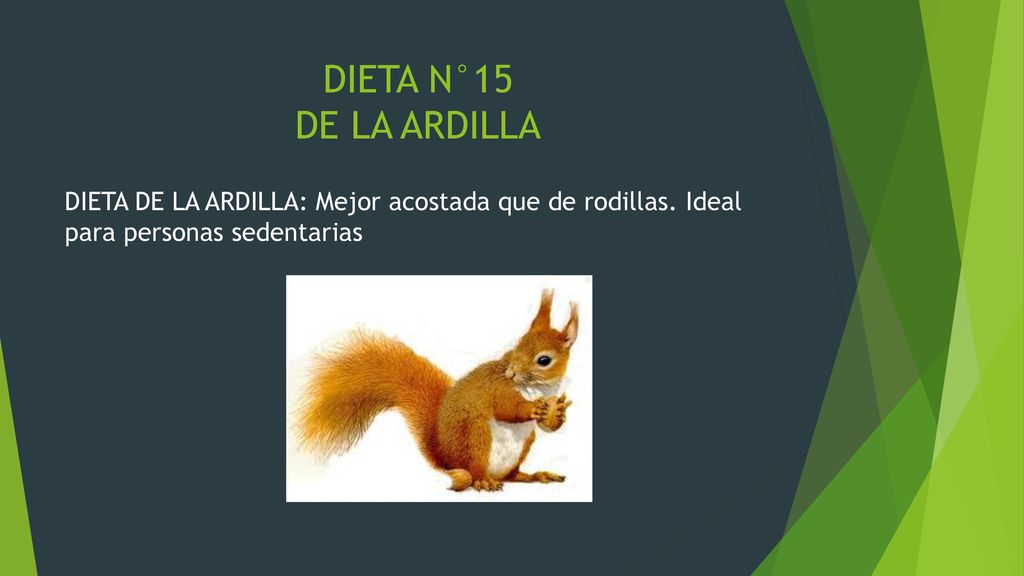 DIETA N°15 DE LA ARDILLA DIETA DE LA ARDILLA: Mejor acostada que de rodillas.