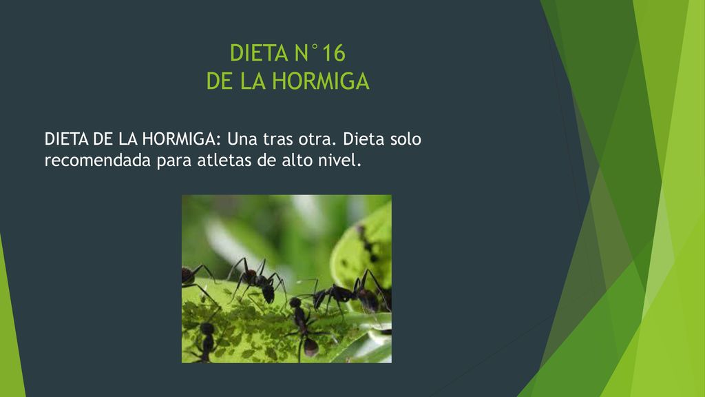 DIETA N°16 DE LA HORMIGA DIETA DE LA HORMIGA: Una tras otra.
