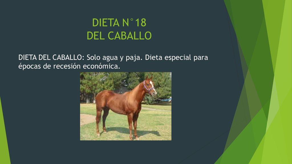 DIETA N°18 DEL CABALLO DIETA DEL CABALLO: Solo agua y paja.