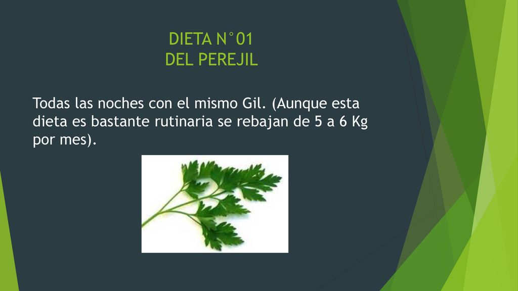 DIETA N°01 DEL PEREJIL Todas las noches con el mismo Gil.