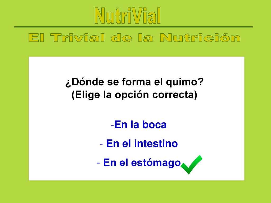 ¿Dónde se forma el quimo (Elige la opción correcta)