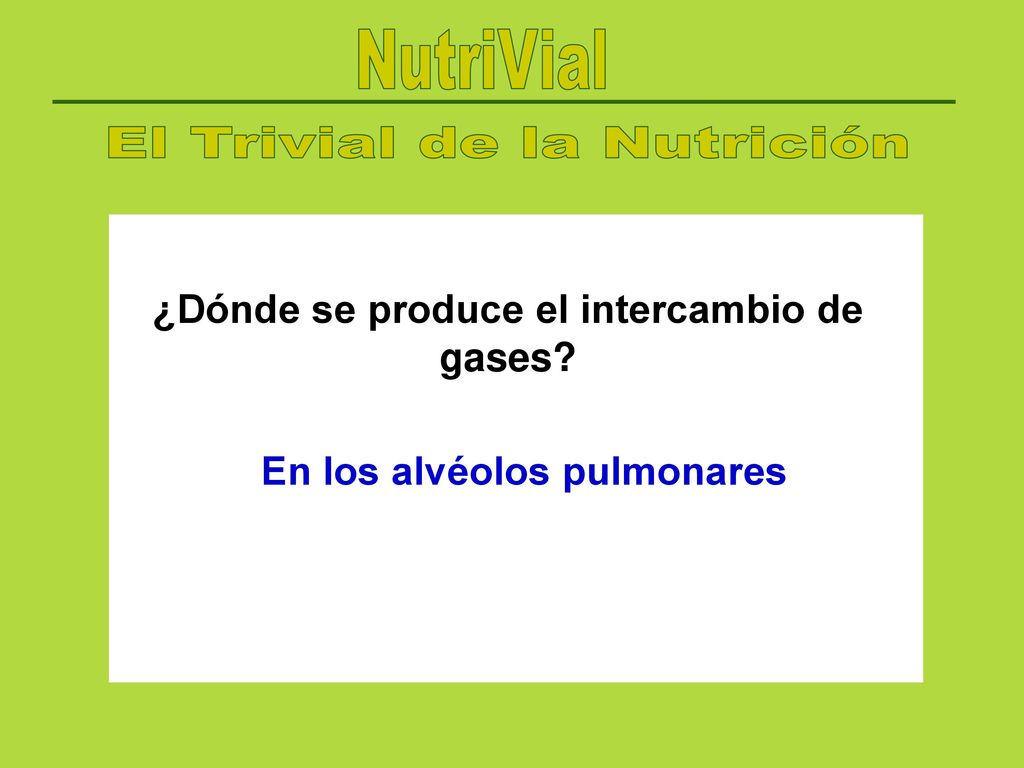 ¿Dónde se produce el intercambio de gases En los alvéolos pulmonares