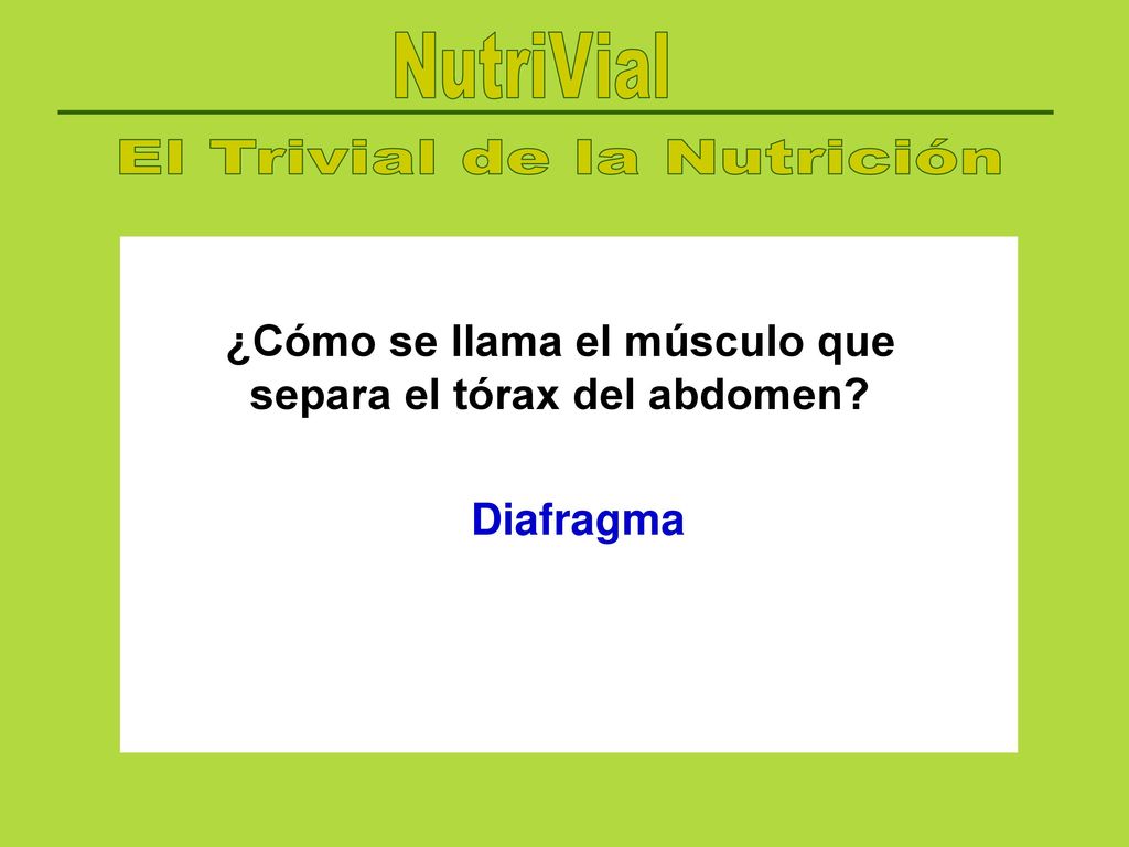 ¿Cómo se llama el músculo que separa el tórax del abdomen