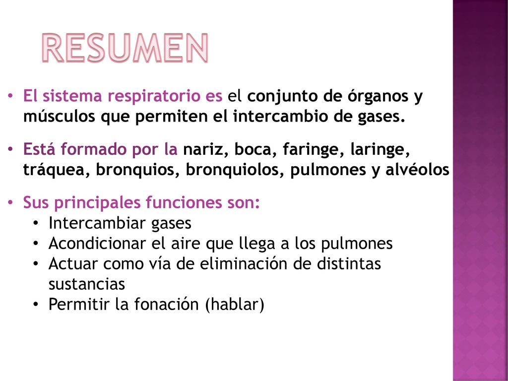 RESUMEN El sistema respiratorio es el conjunto de órganos y músculos que permiten el intercambio de gases.