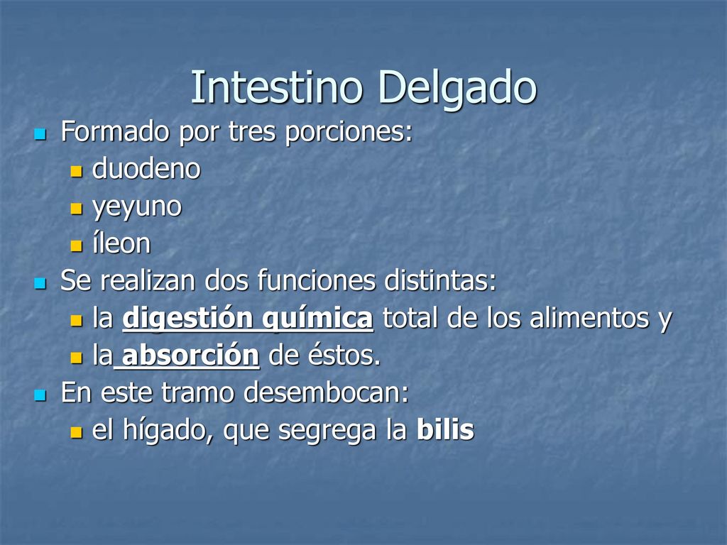 Intestino Delgado Formado por tres porciones: duodeno yeyuno íleon