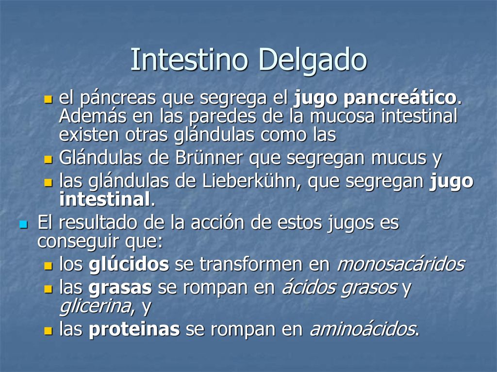 Intestino Delgado el páncreas que segrega el jugo pancreático. Además en las paredes de la mucosa intestinal existen otras glándulas como las.