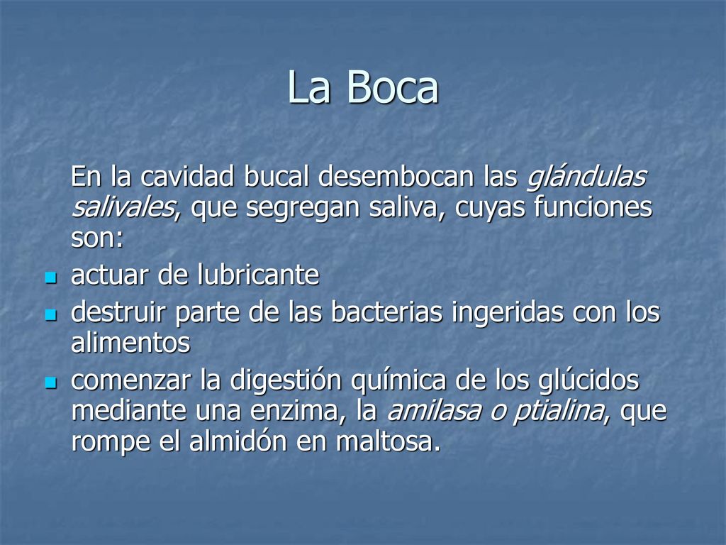 La Boca En la cavidad bucal desembocan las glándulas salivales, que segregan saliva, cuyas funciones son: