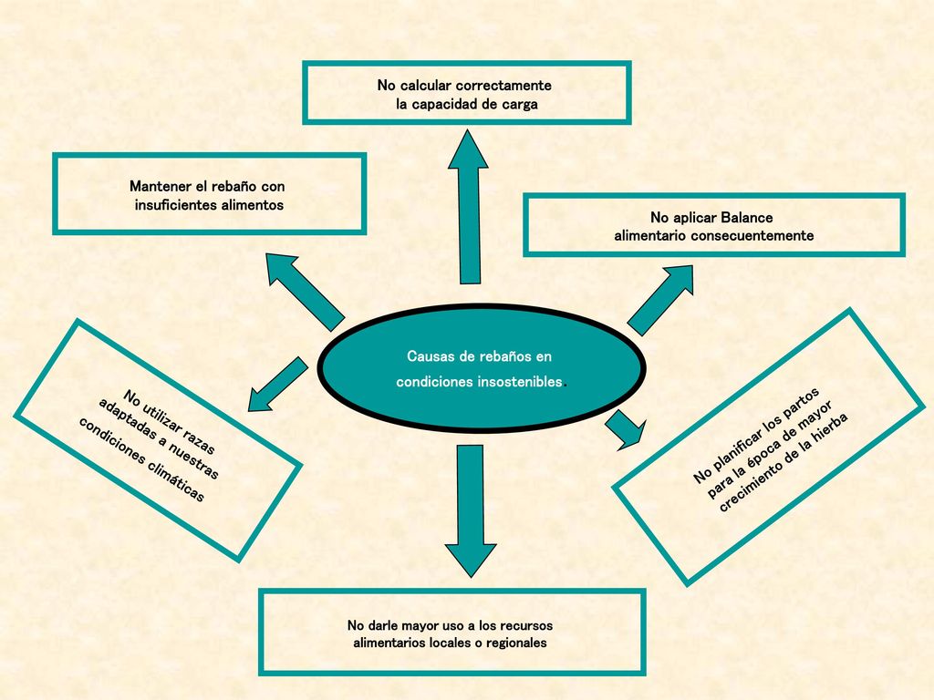 No calcular correctamente la capacidad de carga