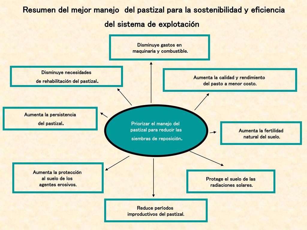 Resumen del mejor manejo del pastizal para la sostenibilidad y eficiencia del sistema de explotación