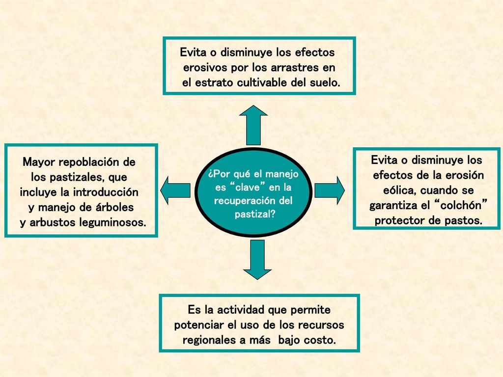 Evita o disminuye los efectos erosivos por los arrastres en
