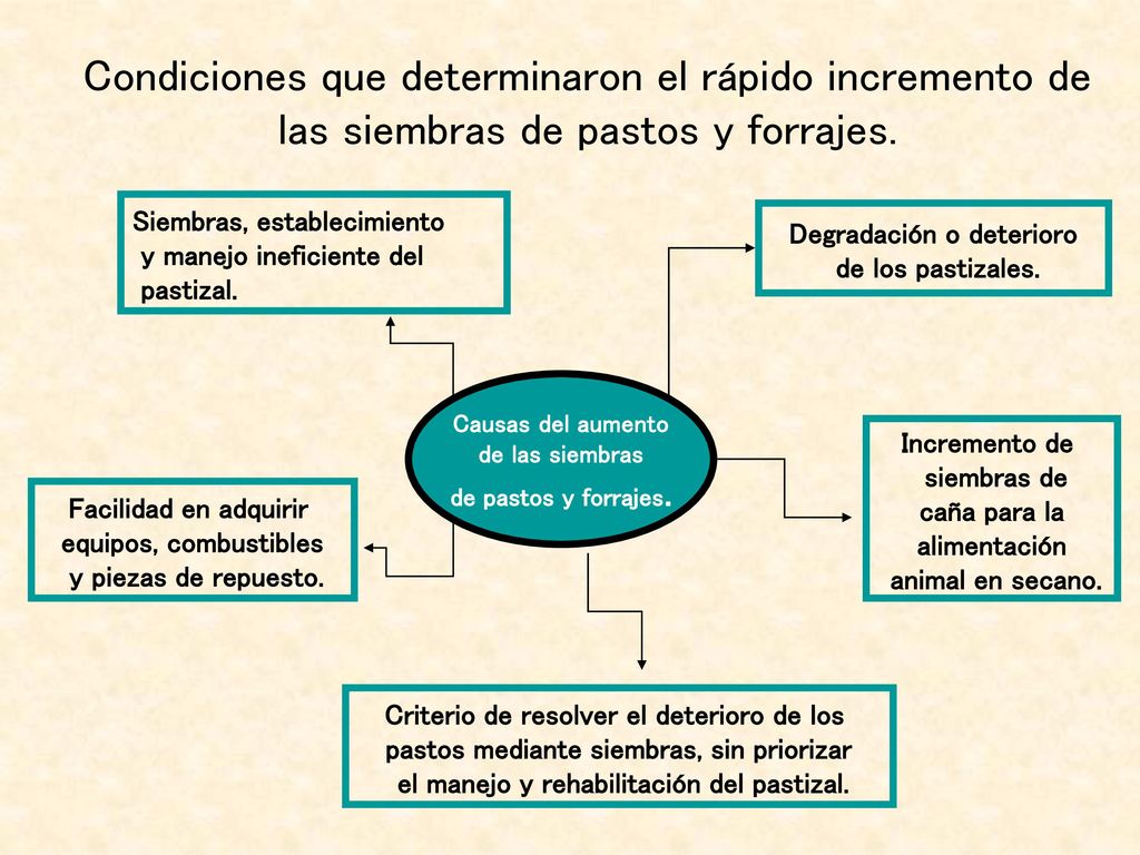 Condiciones que determinaron el rápido incremento de las siembras de pastos y forrajes.