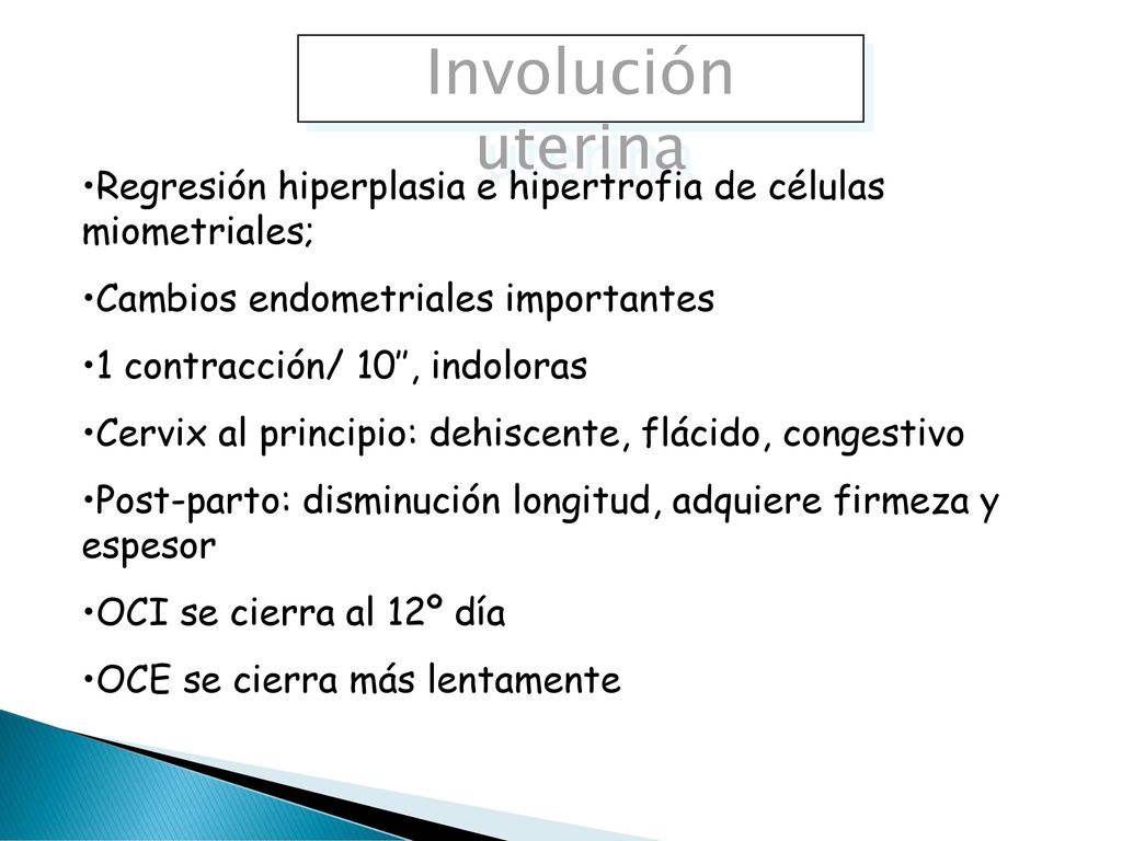 Involución uterina Regresión hiperplasia e hipertrofia de células miometriales; Cambios endometriales importantes.