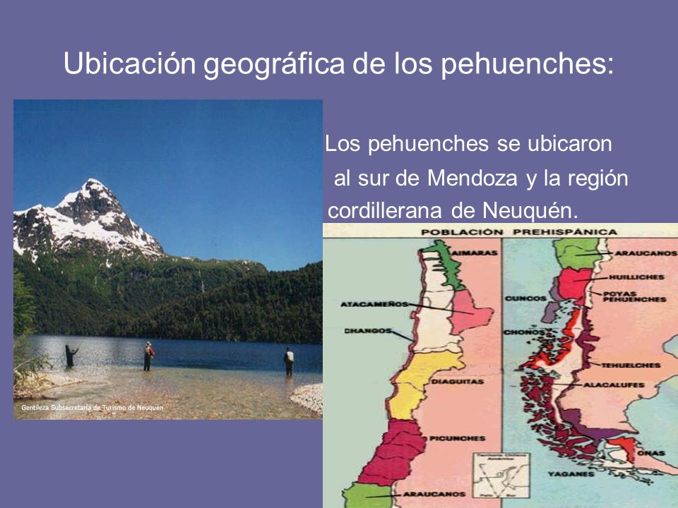 Ubicación geográfica de los pehuenches: